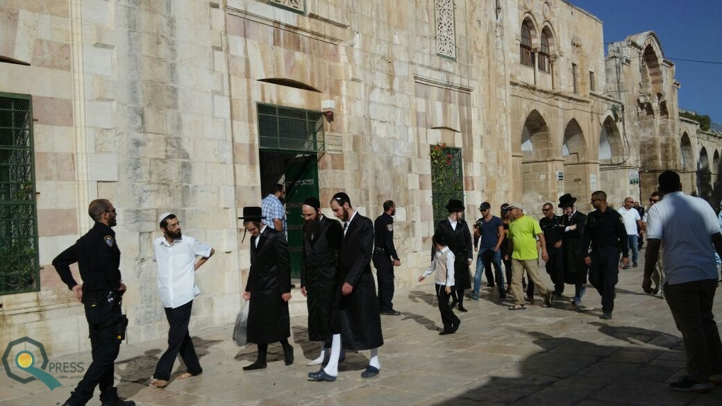 مستوطنون يقتحمون المسجد الأقصى باللباس الحريدي والكهنوتي